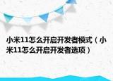 小米11怎么开启开发者模式（小米11怎么开启开发者选项）