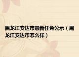 黑龙江安达市最新任免公示（黑龙江安达市怎么样）