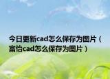 今日更新cad怎么保存为图片（富怡cad怎么保存为图片）