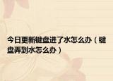 今日更新键盘进了水怎么办（键盘弄到水怎么办）