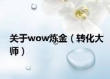 关于wow炼金（转化大师）