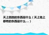 天上圆圆的东西是什么（天上地上都有的东西是什么....）