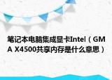 笔记本电脑集成显卡Intel（GMA X4500共享内存是什么意思）