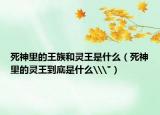死神里的王族和灵王是什么（死神里的灵王到底是什么\
