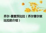 乔尔-普里茨比拉（乔尔普尔兹比拉的介绍）