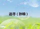 追寻（孙楠）
