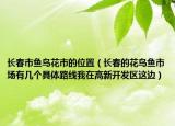 长春市鱼鸟花市的位置（长春的花鸟鱼市场有几个具体路线我在高新开发区这边）