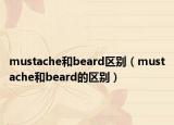 mustache和beard区别（mustache和beard的区别）