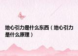 地心引力是什么东西（地心引力是什么原理）