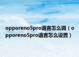 opporeno5pro语言怎么调（opporeno5pro语言怎么设置）