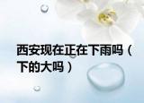 西安现在正在下雨吗（下的大吗）