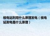 核电站利用什么原理发电（核电站发电是什么原理）