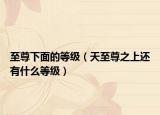 至尊下面的等级（天至尊之上还有什么等级）