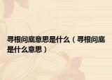 寻根问底意思是什么（寻根问底是什么意思）