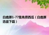 白鹿原1-77集免费西瓜（白鹿原迅雷下载）