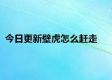 今日更新壁虎怎么赶走