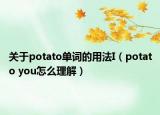 关于potato单词的用法I（potato you怎么理解）