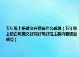 五年级上册课文白鹭有什么感想（五年级上册白鹭课文好词好句好段主要内容读后感受）