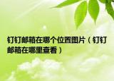 钉钉邮箱在哪个位置图片（钉钉邮箱在哪里查看）