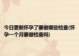 今日更新怀孕了要做哪些检查(怀孕一个月要做检查吗)