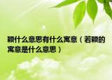 颖什么意思有什么寓意（若颖的寓意是什么意思）
