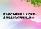 农业银行金穗通宝卡(世纪通宝)（金穗通宝卡如何开通网上银行）
