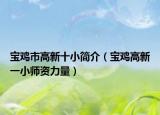 宝鸡市高新十小简介（宝鸡高新一小师资力量）