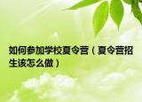 如何参加学校夏令营（夏令营招生该怎么做）