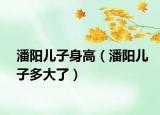 潘阳儿子身高（潘阳儿子多大了）