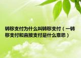 转移支付为什么叫转移支付（一转移支付和直接支付是什么意思）