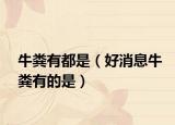 牛粪有都是（好消息牛粪有的是）