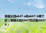 穿越火线ak47-a和ak47-b哪个好（穿越火线AK47好还是AK47A）