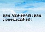 鹏华动力基金净值今日（鹏华动力20080110基金净值）