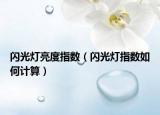 闪光灯亮度指数（闪光灯指数如何计算）