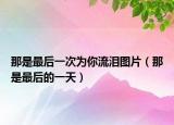 那是最后一次为你流泪图片（那是最后的一天）