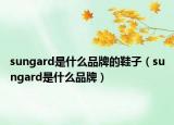 sungard是什么品牌的鞋子（sungard是什么品牌）
