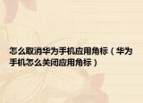怎么取消华为手机应用角标（华为手机怎么关闭应用角标）