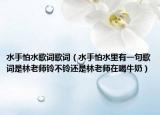 水手怕水歌词歌词（水手怕水里有一句歌词是林老师铃不铃还是林老师在喝牛奶）