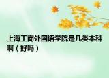 上海工商外国语学院是几类本科啊（好吗）