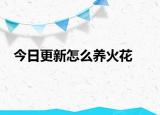 今日更新怎么养火花
