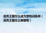洛克王国怎么成为宠物训练师（洛克王国怎么孵蛋呢）