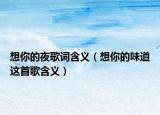 想你的夜歌词含义（想你的味道这首歌含义）