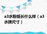 a3水粉纸长什么样（a3水牌尺寸）
