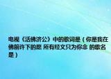电视《活佛济公》中的歌词是（你是我在佛前许下的愿 所有经文只为你念 的歌名是）