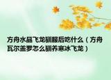 方舟水晶飞龙驯服后吃什么（方舟瓦尔盖罗怎么驯养寒冰飞龙）