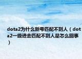 dota2为什么新号匹配不到人（dota2一级进去匹配不到人是怎么回事）