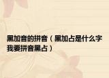 黑加音的拼音（黑加占是什么字我要拼音黑占）