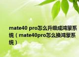 mate40 pro怎么升级成鸿蒙系统（mate40pro怎么换鸿蒙系统）