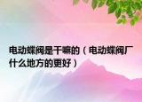 电动蝶阀是干嘛的（电动蝶阀厂什么地方的更好）
