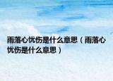 雨落心忧伤是什么意思（雨落心忧伤是什么意思）